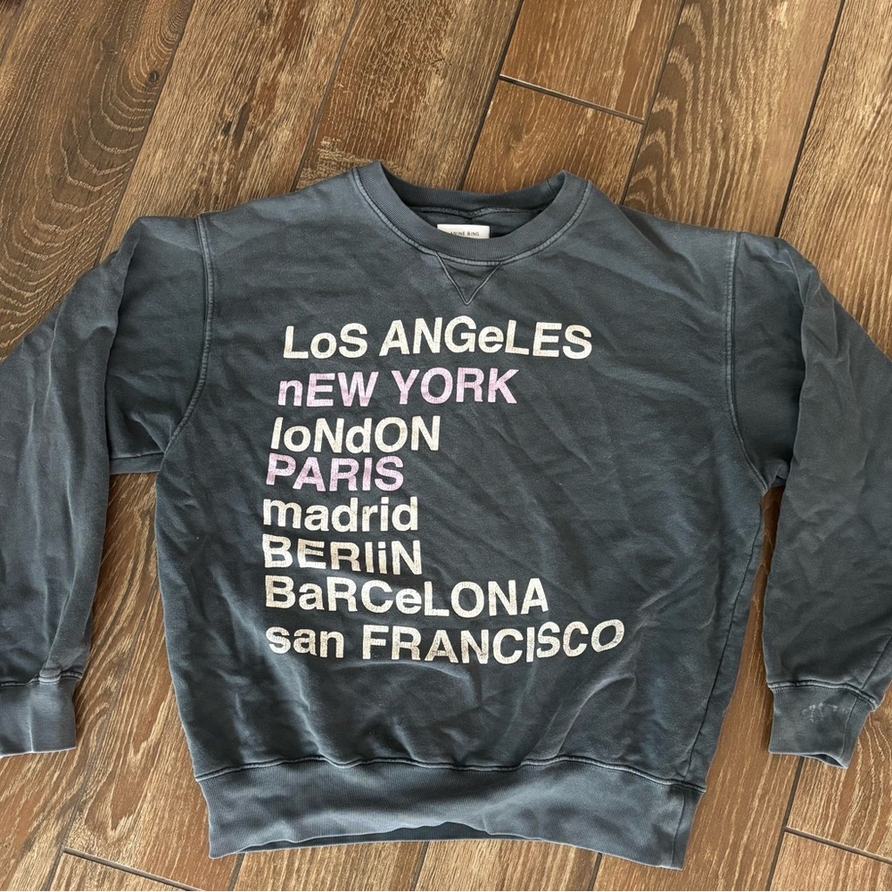 Anine Bing Graphic Sweatshirt!